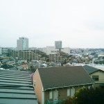 蜂巣ブログ写真平成28年3月25日